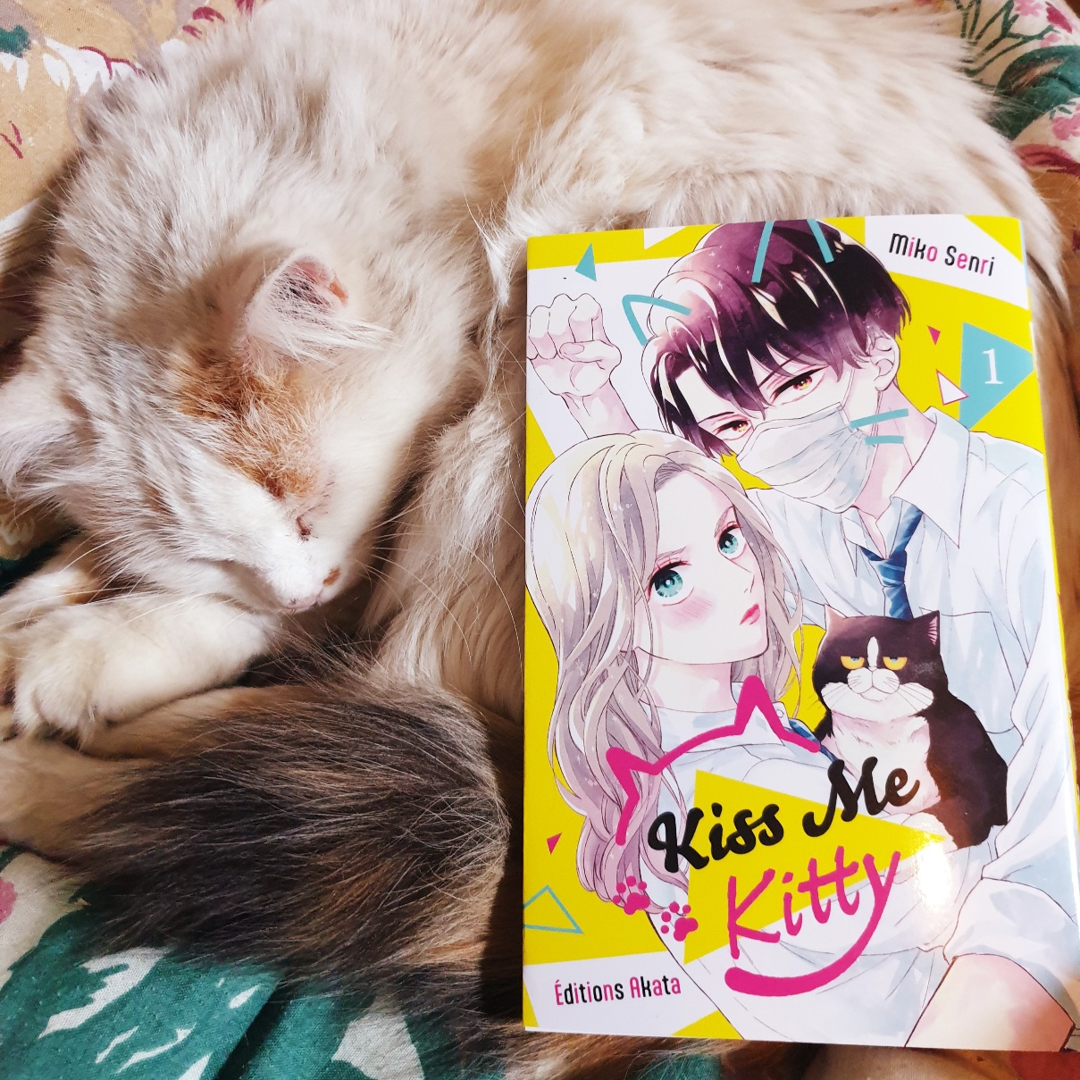 Kiss Me Kitty – Rêveries d&rsquo;une fille à chat